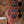Sandberg California II TM 4 Natural
