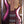 Ibanez SR300EDX Soundgear Rose Gold Chameleon