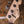 Sandberg California II VM 4 Natural