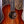 Taylor K24ce