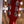 Gibson Les Paul Special Vintage Cherry