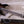 ESP LTD JM-II JOSH MIDDLETON SIGNATURE