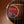 Eastman PCH1-D