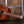 Eastman PCH1-D