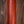 Eastman PCH1-D