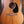 Eastman PCH1-D