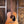 Eastman PCH1-D