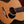 Eastman PCH1-OM