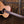 Eastman PCH1-OM