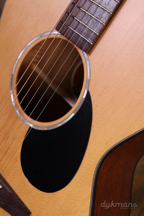 Eastman PCH1-OM