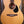 Eastman PCH1-OM