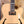 Ibanez PM200 Pat Metheny