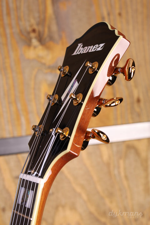 Ibanez PM200 Pat Metheny