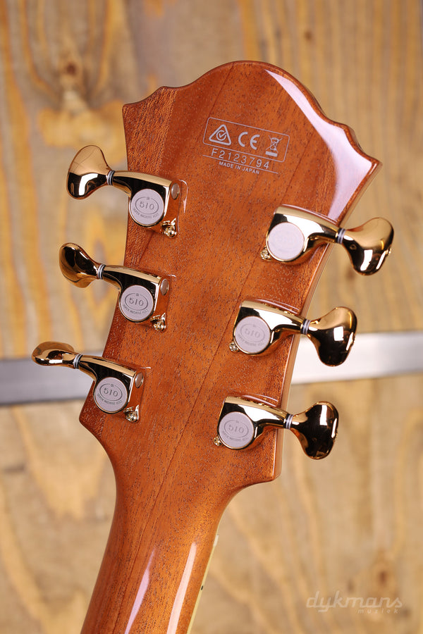 Ibanez PM200 Pat Metheny