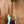 Sire Marcus Miller P5 4 String Mild Green