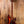 Sire Marcus Miller P5 4-String Tobacco Sunburst