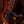 Sire Marcus Miller P5 4-String Tobacco Sunburst