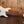 IBANEZ AZES31 Ivory