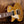 Epiphone Les Paul Standard 50s Metallic Gold Left Handed