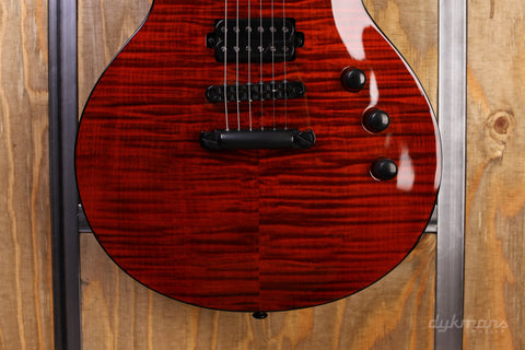 LTD Deluxe EC-1001 Tiger Eye