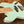 Sire Marcus Miller U5+ A4 / MI