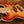 Sire Marcus Miller U5+ A4 / TS