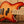 Sire Marcus Miller U5+ A4 / TS