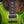 PRS Modern Eagle V Eriza Verde