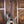Mayones Duvell 6 Elite Eye Poplar Trans Satin