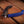 Music Nomad Grip Cutter