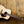Martin D-10E Road Series