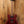 Ibanez AS53-TRF 