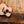 Eastman E6OM-TC