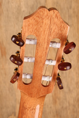 Juan Salvador 1T Hybrid