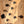 Sire Marcus Miller P7+S5/WB 2nd Gen