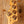 Sandberg California II V-TM Ida Nielsen 5-String