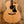 Eastman PCH2-GACE Natural