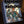 Walrus Audio Fable Granular Soundscape Generator