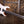Ibanez RG5320C Pearl White PRE ORDER