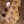 Sandberg California II TT Passive Roquefort Blue Marlowe DK