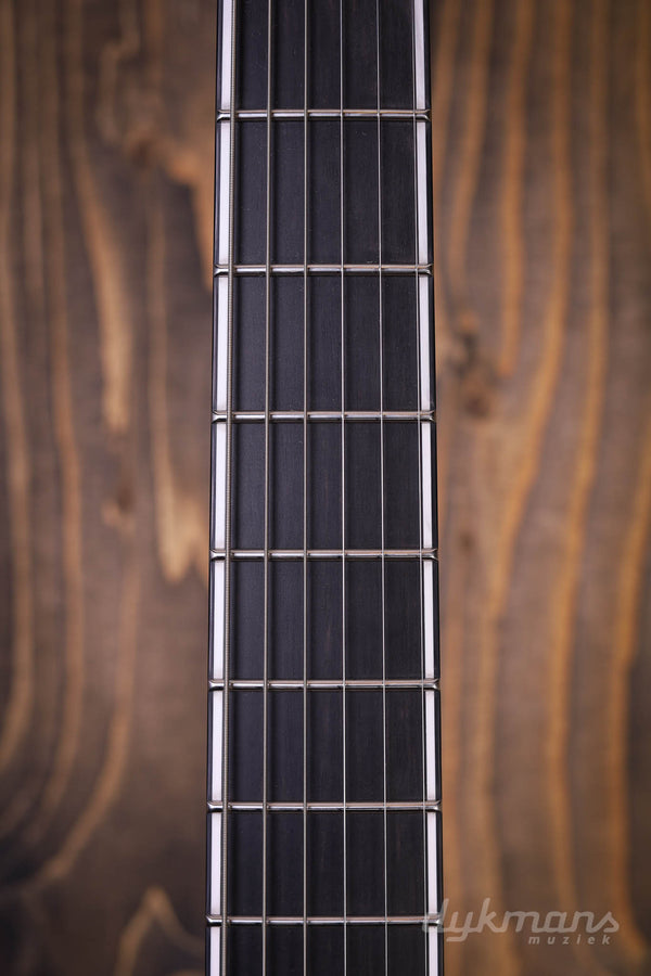 Mayones Regius 6 Core Trans Black Raw