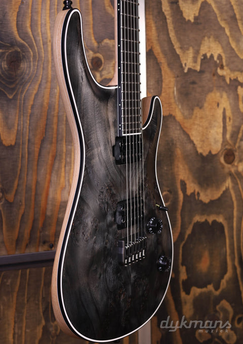 Mayones Regius 6 Core Trans Black Raw