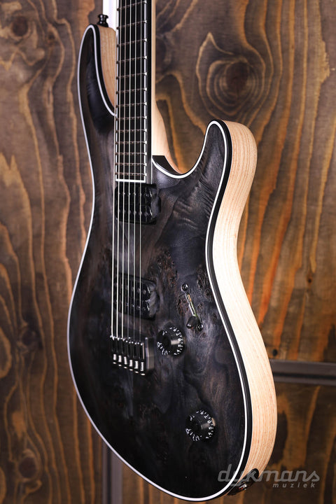 Mayones Regius 6 Core Trans Black Raw