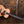 Furch Vintage 1 OM-SM