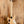 Sire Marcus Miller V9 S4F/TB fretless 