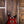 PRS S2 McCarty 594 Fire Red