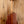 Taylor 210ce Rosewood