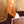 Taylor 210ce Rosewood