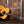 Martin D-18 Dreadnought