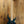 Sire Marcus Miller M2+5/TBL